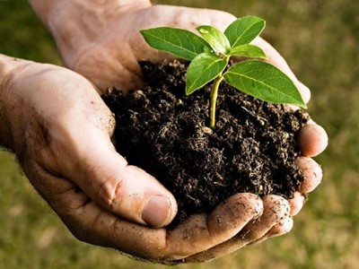 Evaluatie New Work Item Proposal (NWIP) voor de ontwikkeling van een regionale standaard voor Compost
