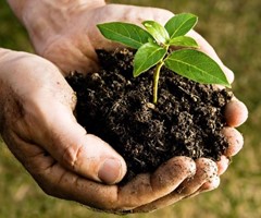 Evaluatie New Work Item Proposal (NWIP) voor de ontwikkeling van een regionale  standaard voor Compost