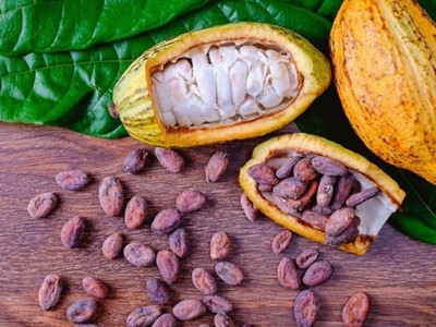 Evaluatie New Work Item Proposal (NWIP) voor de ontwikkeling van een reeks regionale standaarden voor de cacao-industrie