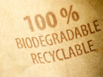 Stemmen op finaal concept Regionale Standaard “Biodegradable Products – Specification”