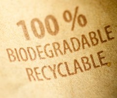 Stemmen op finaal concept Regionale Standaard “Biodegradable Products – Specification”