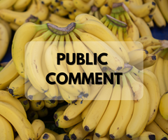 Public Comment adoptie Regionale Standaard ‘Specification for grades of fresh agricultural produce - Bananas’